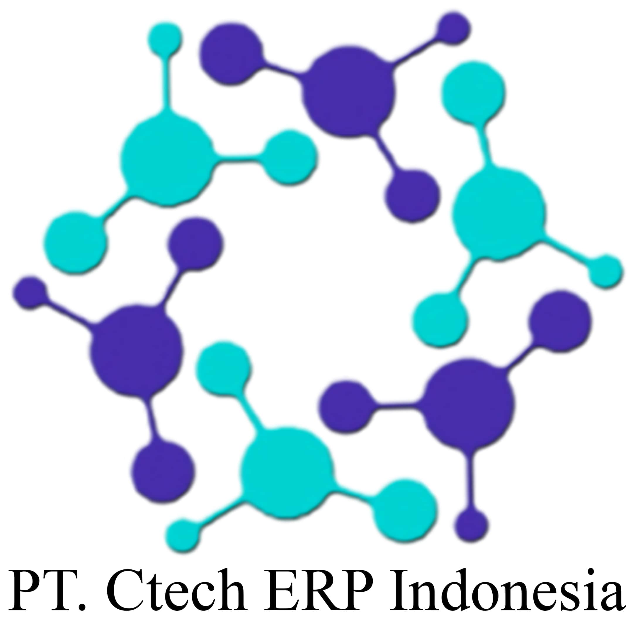 PT. Ctech ERP Indonesia