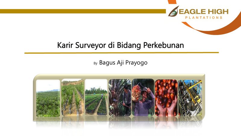 Karir Surveyor di Bidang Perkebunan